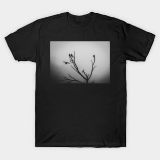 A perch in the mist T-Shirt